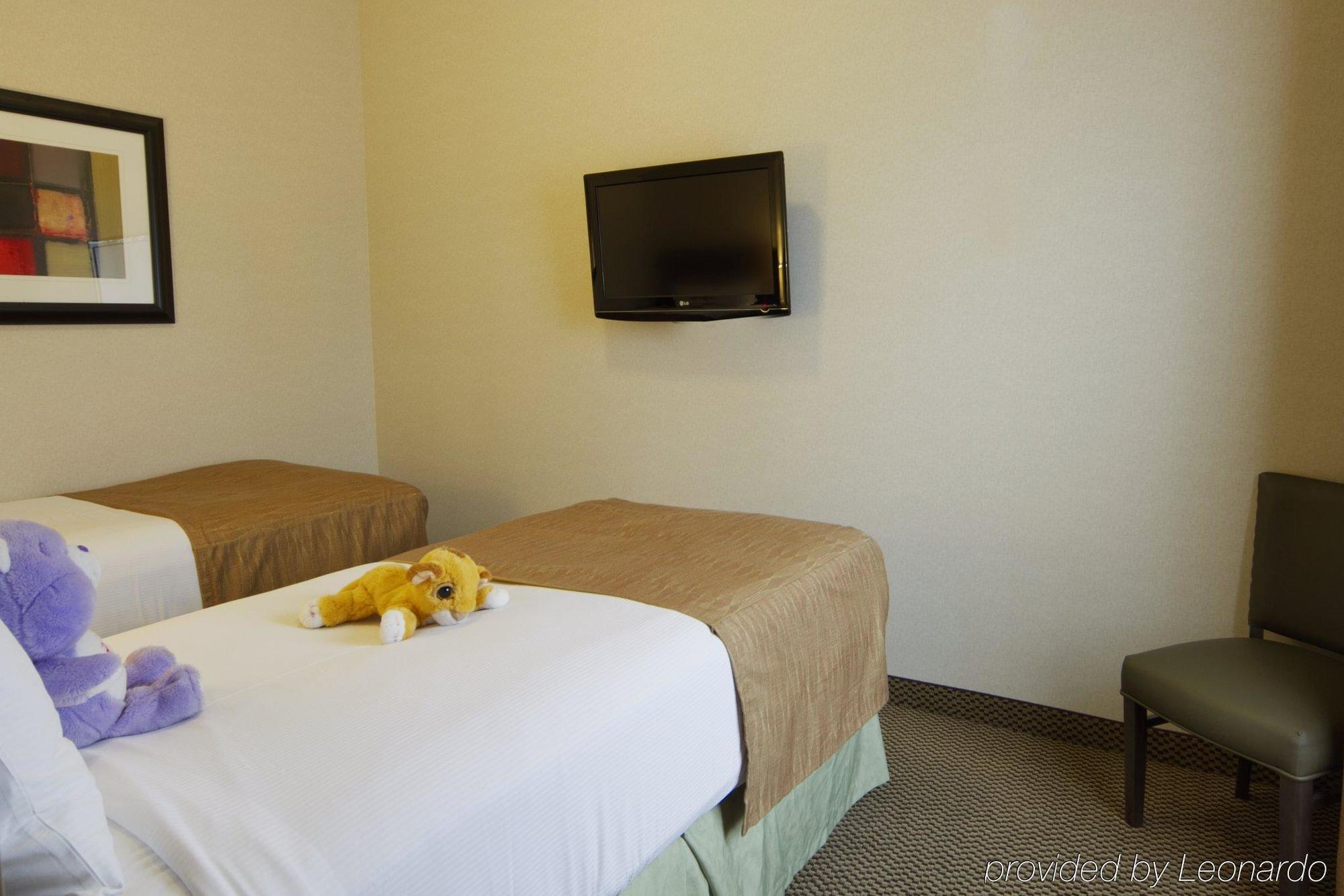 Best Western Wainwright Inn & Suites Bilik gambar